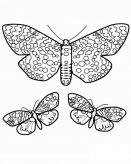 /jianbihua/dongwujianbi/20820.html