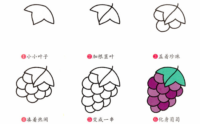葡萄简笔画步骤图片大全