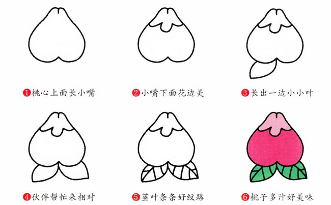 水蜜桃简笔画步骤图片大全