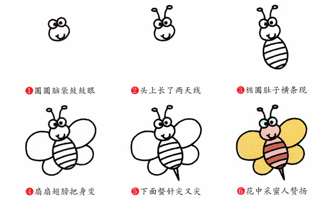 蜜蜂昆虫简笔画步骤图片大全