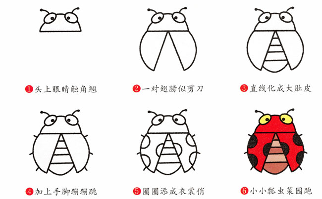 七星瓢虫昆虫简笔画步骤图片大全