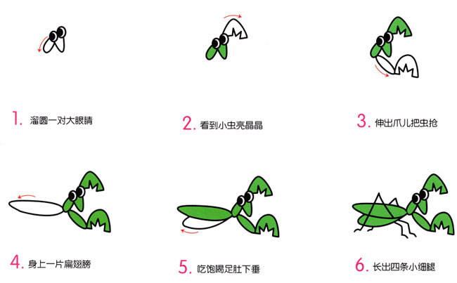 螳螂昆虫简笔画步骤图片大全