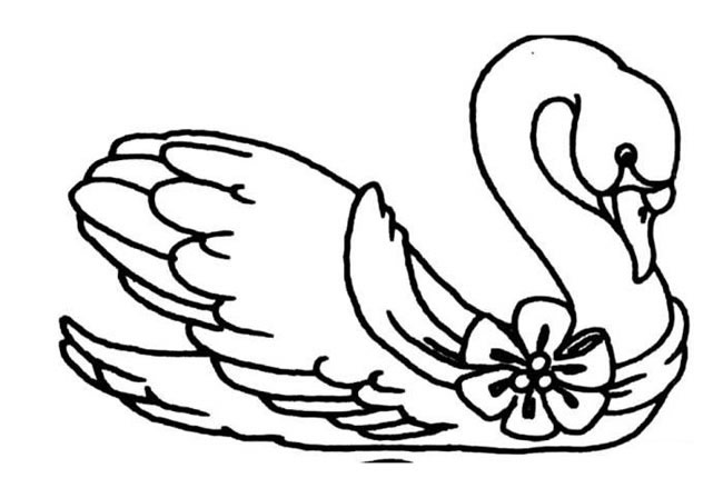 美丽天鹅动物简笔画步骤图片大全