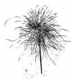 /jianbihua/fengjingjianbi/17362.html