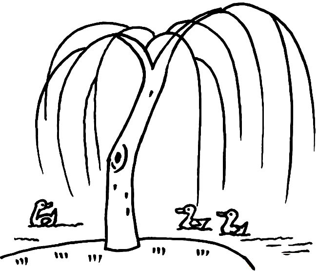 河边柳树植物简笔画步骤图片大全