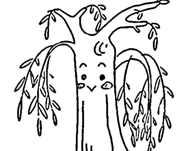 卡通柳树植物简笔画步骤图片大全