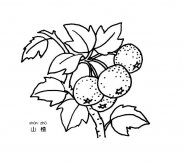 /jianbihua/shenghuojianbi/20226.html