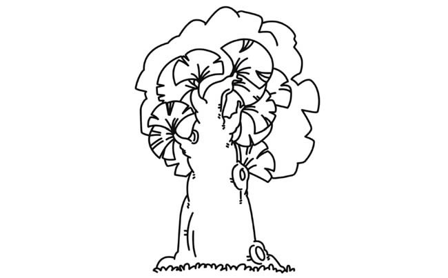 粗壮大树植物花简笔画步骤图片大全