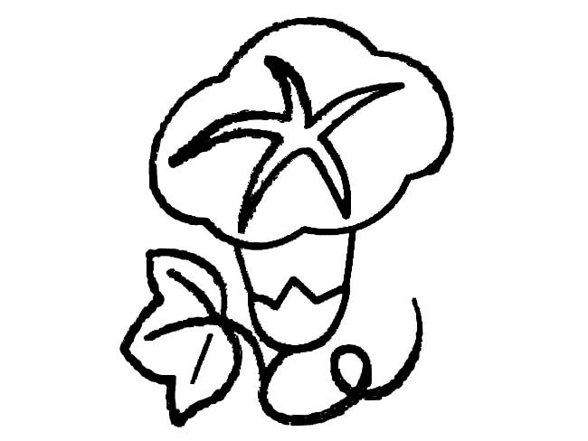 牵牛花植物花简笔画步骤图片大全三