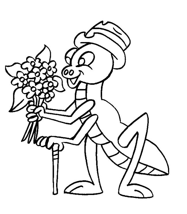 蚂蚱先生昆虫简笔画步骤图片大全