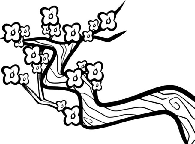 梅花植物花简笔画步骤图片大全