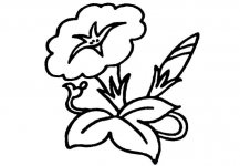 /jianbihua/shenghuojianbi/20308.html