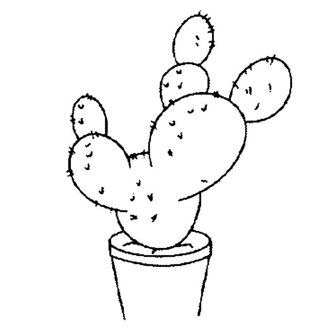 仙人球植物花简笔画步骤图片大全