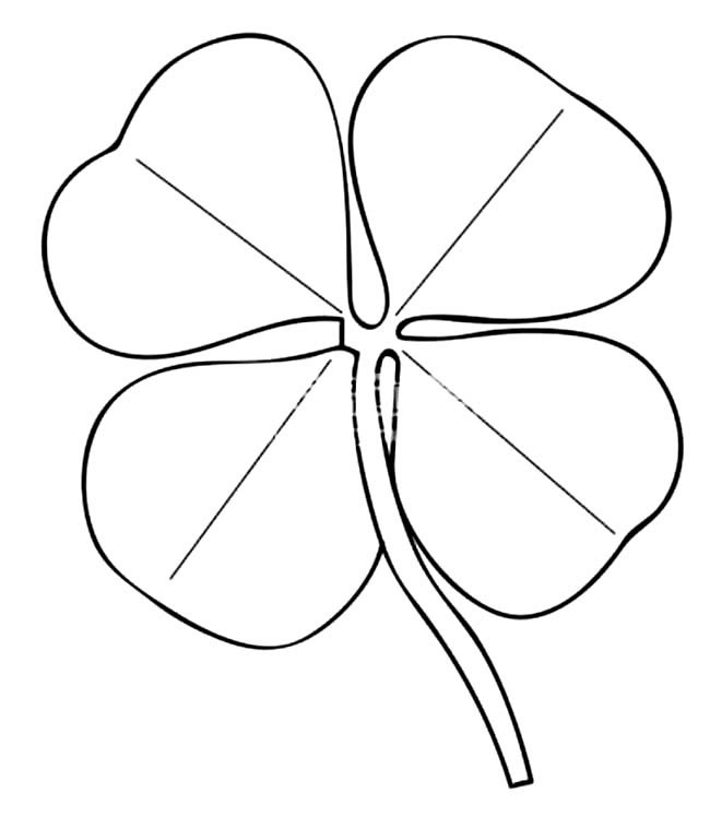 四叶草植物花简笔画步骤图片大全
