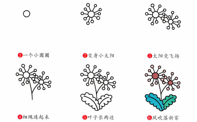 蒲公英植物花简笔画步骤图片大全