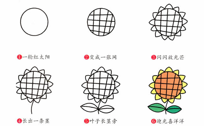 向日葵植物花简笔画步骤图片大全