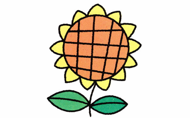 向日葵植物花简笔画步骤图片大全