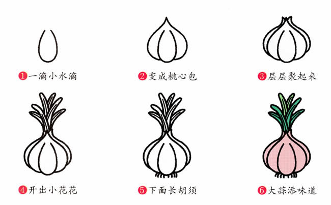 大蒜植物花简笔画步骤图片大全