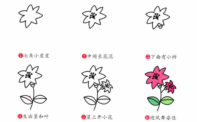 百合花植物花简笔画步骤图片大全