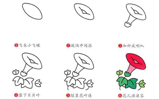 牵牛花植物花简笔画步骤图片大全五