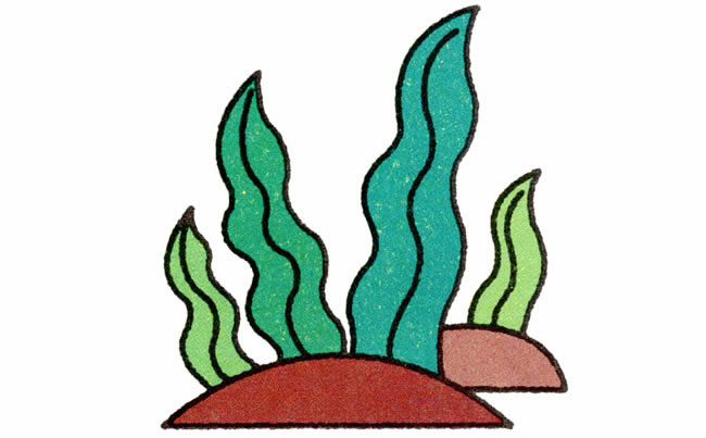 水草植物简笔画步骤图片大全