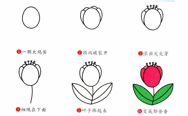 郁金香植物花简笔画步骤图片大全