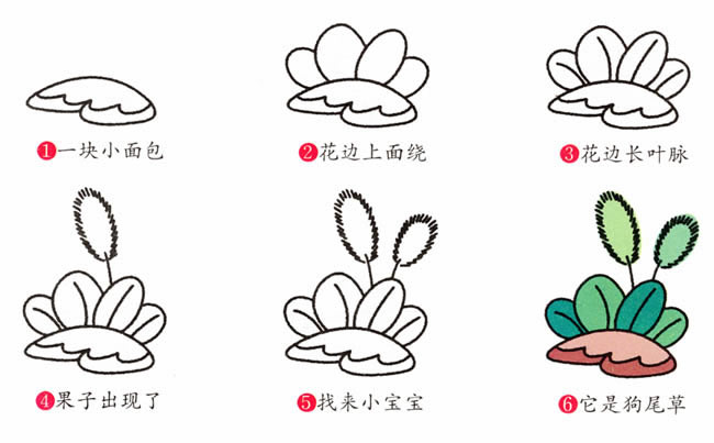 狗尾草植物花简笔画步骤图片大全