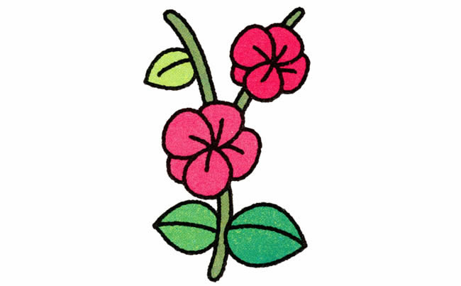 梅花植物花简笔画步骤图片大全二