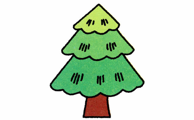 松树植物简笔画步骤图片大全