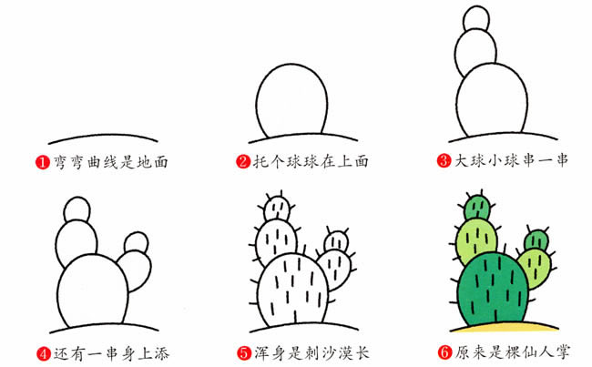 仙人掌植物简笔画步骤图片大全