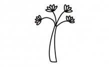 /jianbihua/shenghuojianbi/19976.html