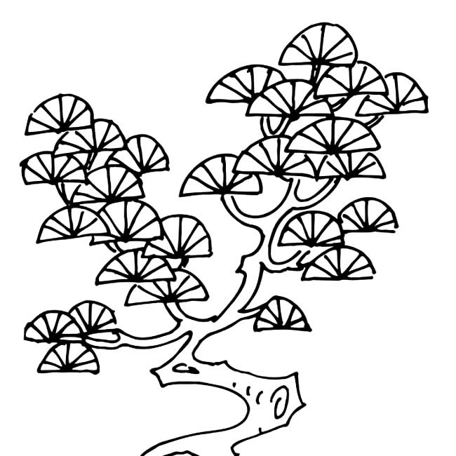 盆景松树植物简笔画步骤图片大全