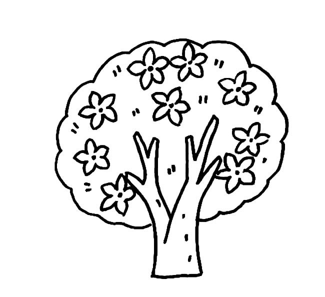花树植物简笔画步骤图片大全