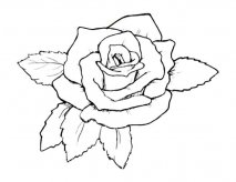 /jianbihua/shenghuojianbi/19883.html