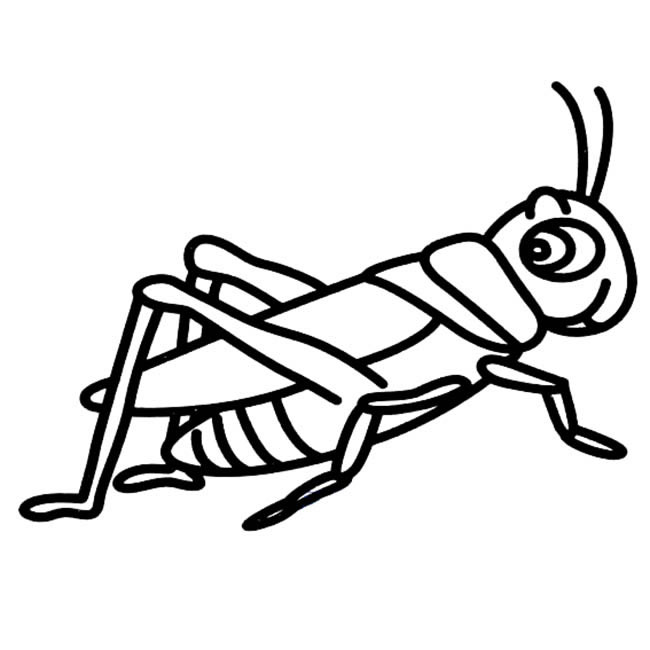 蝗虫昆虫简笔画步骤图片大全