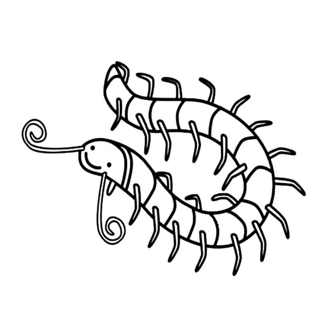 蜈蚣昆虫简笔画步骤图片大全三