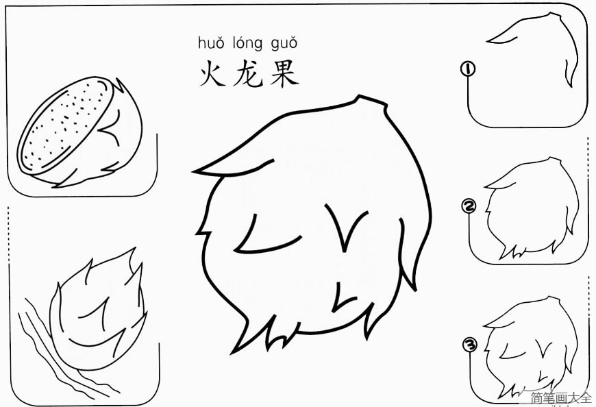 儿童火龙果怎么画简笔画步骤图教程