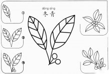 简笔画冬青草怎么画