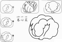 儿童卷心菜怎么画简笔画