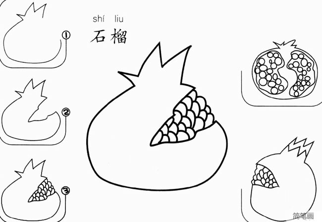 幼儿石榴怎么画简笔画图片