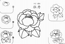 牡丹怎么画简笔画
