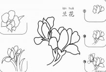 兰花怎么画简笔画