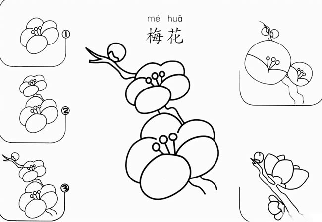 梅花怎么画简笔画图片