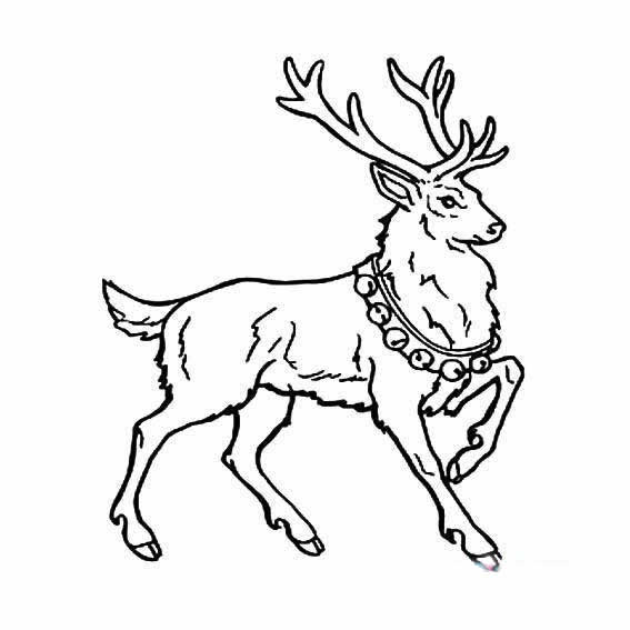 圣诞驯鹿简笔画