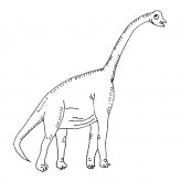 /jianbihua/dongwujianbi/24574.html