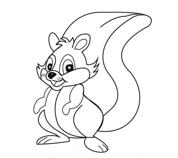 大尾巴的小松鼠简笔画图片