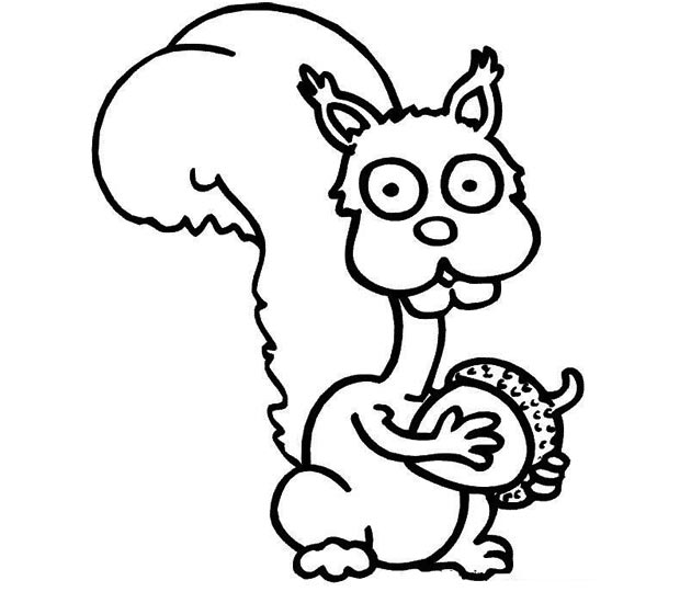 小松鼠简笔画图片