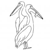 /jianbihua/dongwujianbi/23523.html