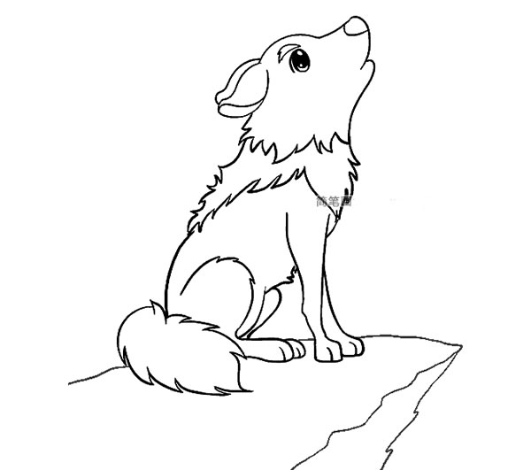 小狼简笔画图片2