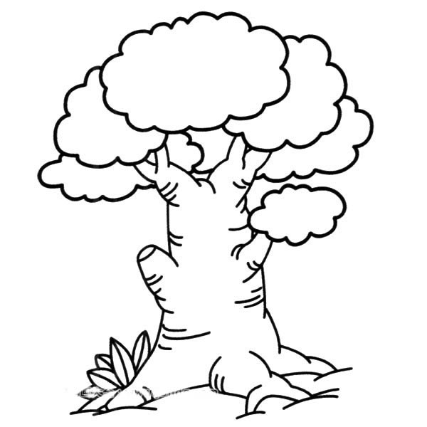 茂盛的大榕树简笔画